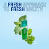 Breath Freshening Capsules, Fresher Breath From Inside-Out, Lasts Up To 8 Hours, Parsley & Mint Oils, 50 Capsules