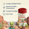 Men's Antiperspirant & Deodorant, 24/7 Sweat Protection, Canyon with Aloe, 2.6 oz