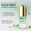 Skincare Niacinamide & Hyaluronic Acid Face Mist – 3-in-1: Detox, Treat, Boost – Hydrating, Soothing, Anti-Aging Facial Spray – Dermatologist Tested Korean Skin Care – Clean Beauty – 2.87 Oz