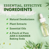 Essentials Deodorant, Fresh Rosemary Lavender, with Natural Deodorizers, 2.5 oz, 2 Ct