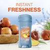 Fresh Clear Gel Antiperspirant Deodorant, Sweet Nectarine, 2.6 oz