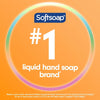 Liquid Hand Soap, Kitchen and Bathroom Hand Soap, Juicy Peach, 7.5 Fluid Ounce Bottle