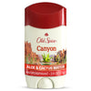 Men's Antiperspirant & Deodorant, 24/7 Sweat Protection, Canyon with Aloe, 2.6 oz
