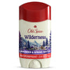 Men's Antiperspirant Deodorant, Invisible Solid Stick, Wilderness with Lavender, 2.6 oz