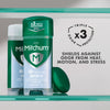 (3 pack) Triple Odor Protection Antiperspirant & Deodorant Gel, Unscented,