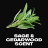 Deodorant Stick For Long Lasting Odor Protection, Aluminum Free, Apollo Sage & Cedarwood Men's Deodorant, 3 oz Twin Pack